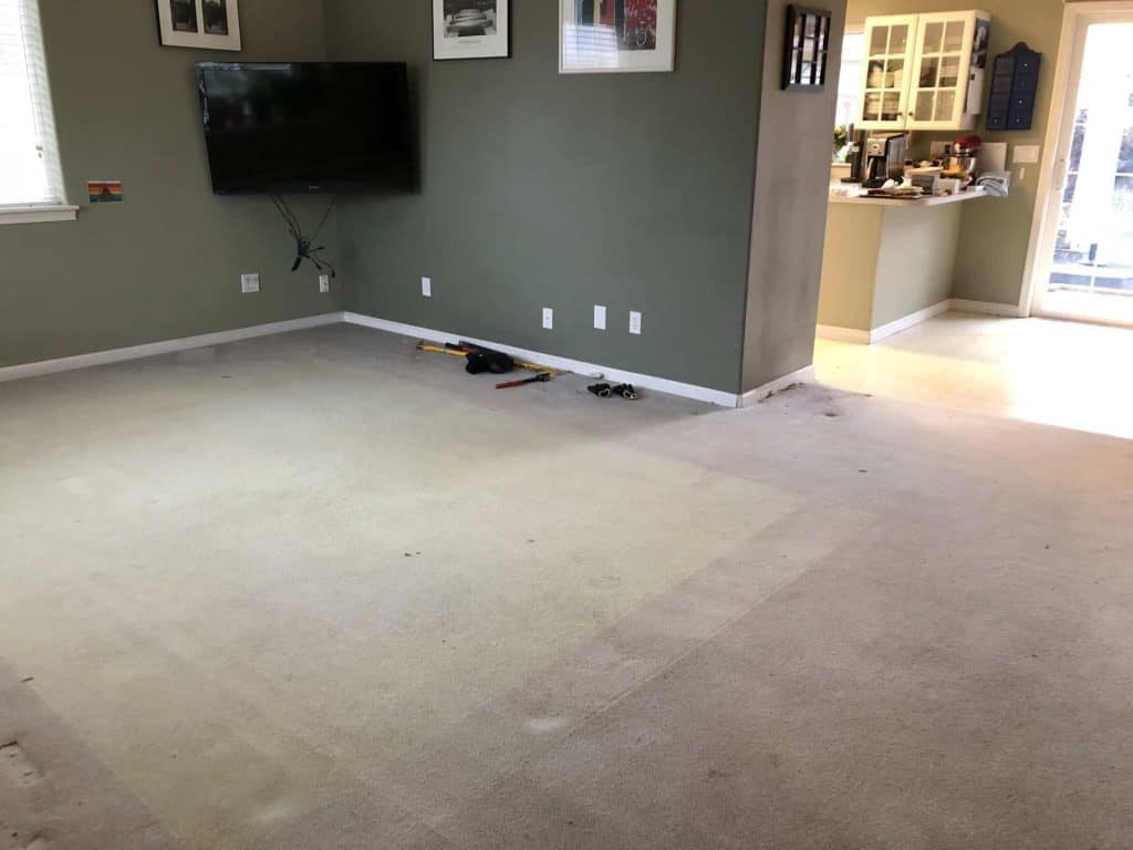 The carpet was completely discolored and needed to go.